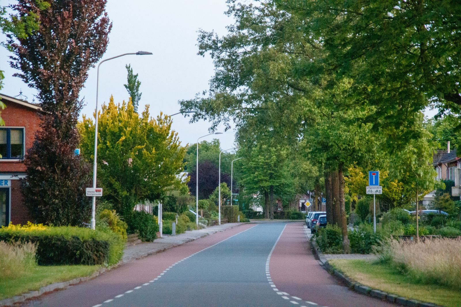 The same residential street six weeks later, cleared and green again